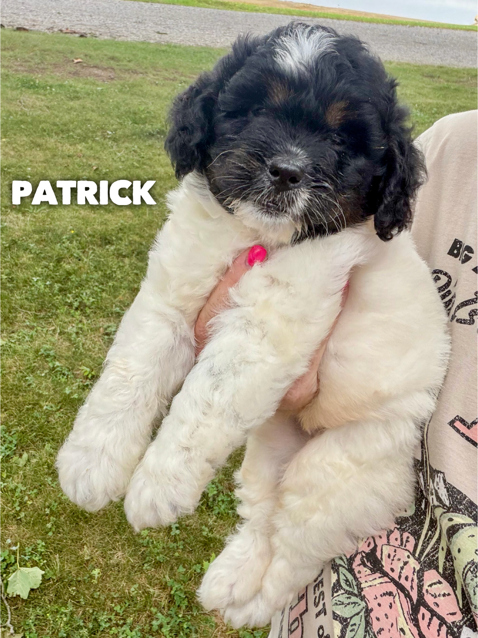 Patrick 1